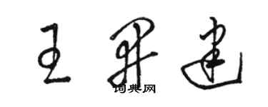 駱恆光王開建草書個性簽名怎么寫