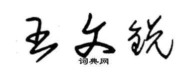 朱錫榮王文銳草書個性簽名怎么寫