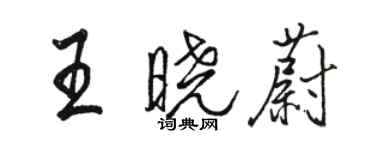 駱恆光王曉蔚行書個性簽名怎么寫