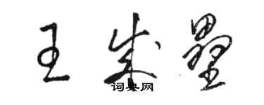 駱恆光王成壘草書個性簽名怎么寫