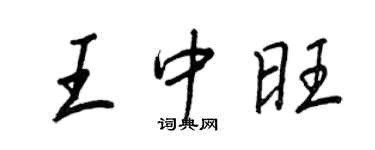 王正良王中旺行書個性簽名怎么寫