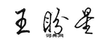 駱恆光王盼星行書個性簽名怎么寫