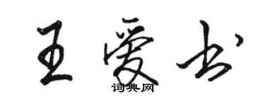 駱恆光王愛書行書個性簽名怎么寫