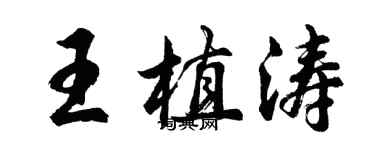 胡問遂王植濤行書個性簽名怎么寫
