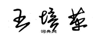 朱錫榮王培革草書個性簽名怎么寫