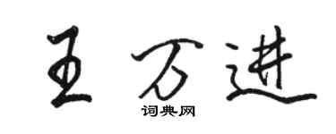 駱恆光王萬進行書個性簽名怎么寫