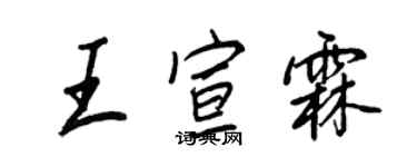 王正良王宣霖行書個性簽名怎么寫