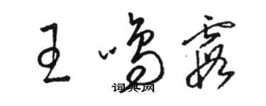 駱恆光王鳴霞草書個性簽名怎么寫