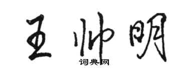 駱恆光王帥明行書個性簽名怎么寫