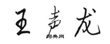 駱恆光王聲龍行書個性簽名怎么寫