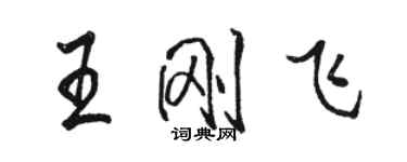 駱恆光王剛飛行書個性簽名怎么寫