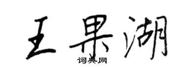 王正良王果湖行書個性簽名怎么寫