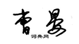 朱錫榮曹晏草書個性簽名怎么寫