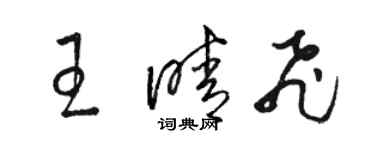 駱恆光王晴飛草書個性簽名怎么寫