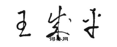 駱恆光王成平草書個性簽名怎么寫