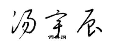 梁錦英湯宇辰草書個性簽名怎么寫