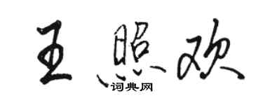 駱恆光王照歡行書個性簽名怎么寫