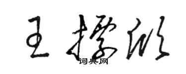 駱恆光王標欣草書個性簽名怎么寫