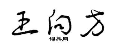 曾慶福王向方草書個性簽名怎么寫