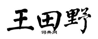 翁闓運王田野楷書個性簽名怎么寫