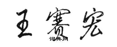 駱恆光王賽宏行書個性簽名怎么寫