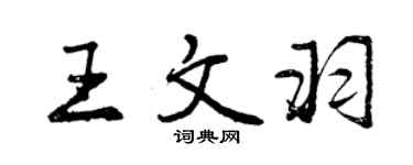 曾慶福王文羽行書個性簽名怎么寫