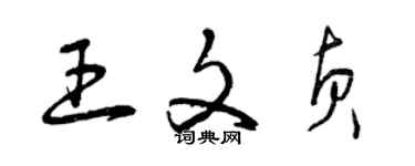 曾慶福王文貞草書個性簽名怎么寫