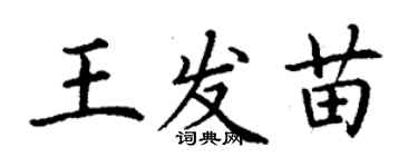 丁謙王發苗楷書個性簽名怎么寫