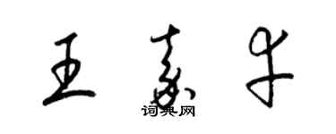 梁錦英王嘉幸草書個性簽名怎么寫