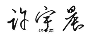 駱恆光許宇晨草書個性簽名怎么寫