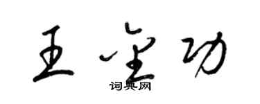 梁錦英王金功草書個性簽名怎么寫