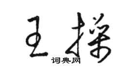 駱恆光王操草書個性簽名怎么寫