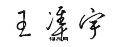 駱恆光王準宇草書個性簽名怎么寫