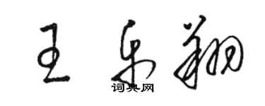 駱恆光王樂翔草書個性簽名怎么寫