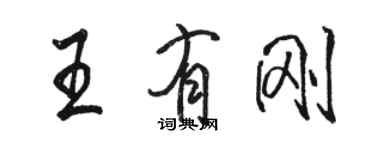 駱恆光王有剛行書個性簽名怎么寫
