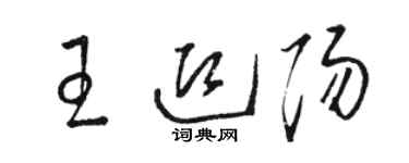 駱恆光王迎陽草書個性簽名怎么寫