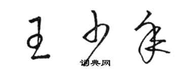 駱恆光王少年草書個性簽名怎么寫