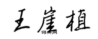 王正良王崖植行書個性簽名怎么寫