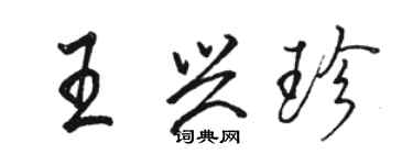 駱恆光王興珍行書個性簽名怎么寫