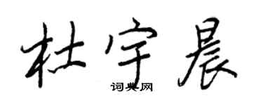 王正良杜宇晨行書個性簽名怎么寫