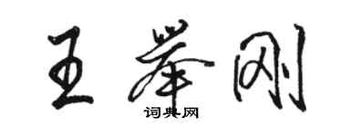 駱恆光王舉剛行書個性簽名怎么寫