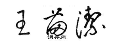 駱恆光王苗潔草書個性簽名怎么寫