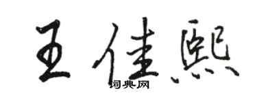 駱恆光王佳熙行書個性簽名怎么寫