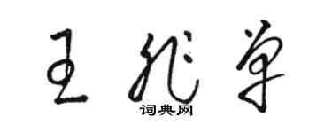 駱恆光王非單草書個性簽名怎么寫