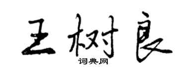 曾慶福王樹良行書個性簽名怎么寫