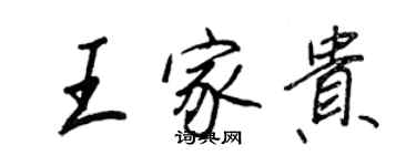 王正良王家貴行書個性簽名怎么寫