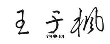 駱恆光王于楓草書個性簽名怎么寫