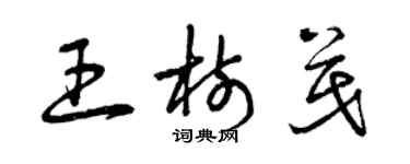 曾慶福王樹茂草書個性簽名怎么寫