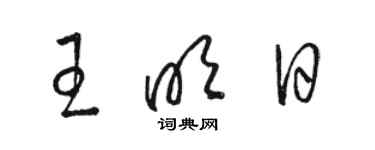 駱恆光王明日草書個性簽名怎么寫