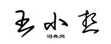 朱錫榮王小想草書個性簽名怎么寫